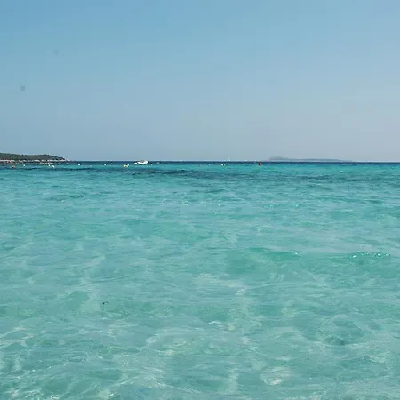 Luxury Apartment Sardegna